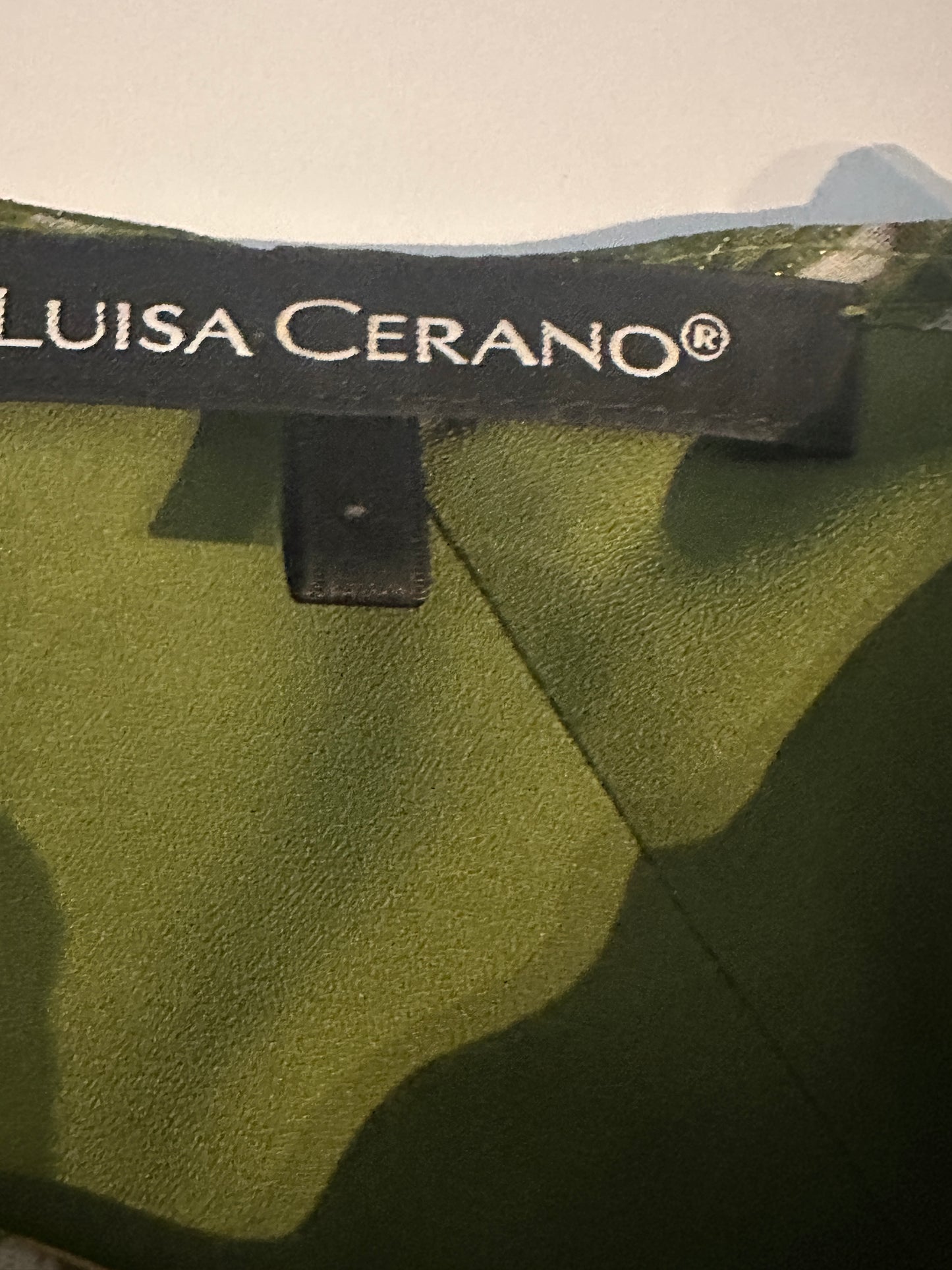 Luisa Cerano dress XL