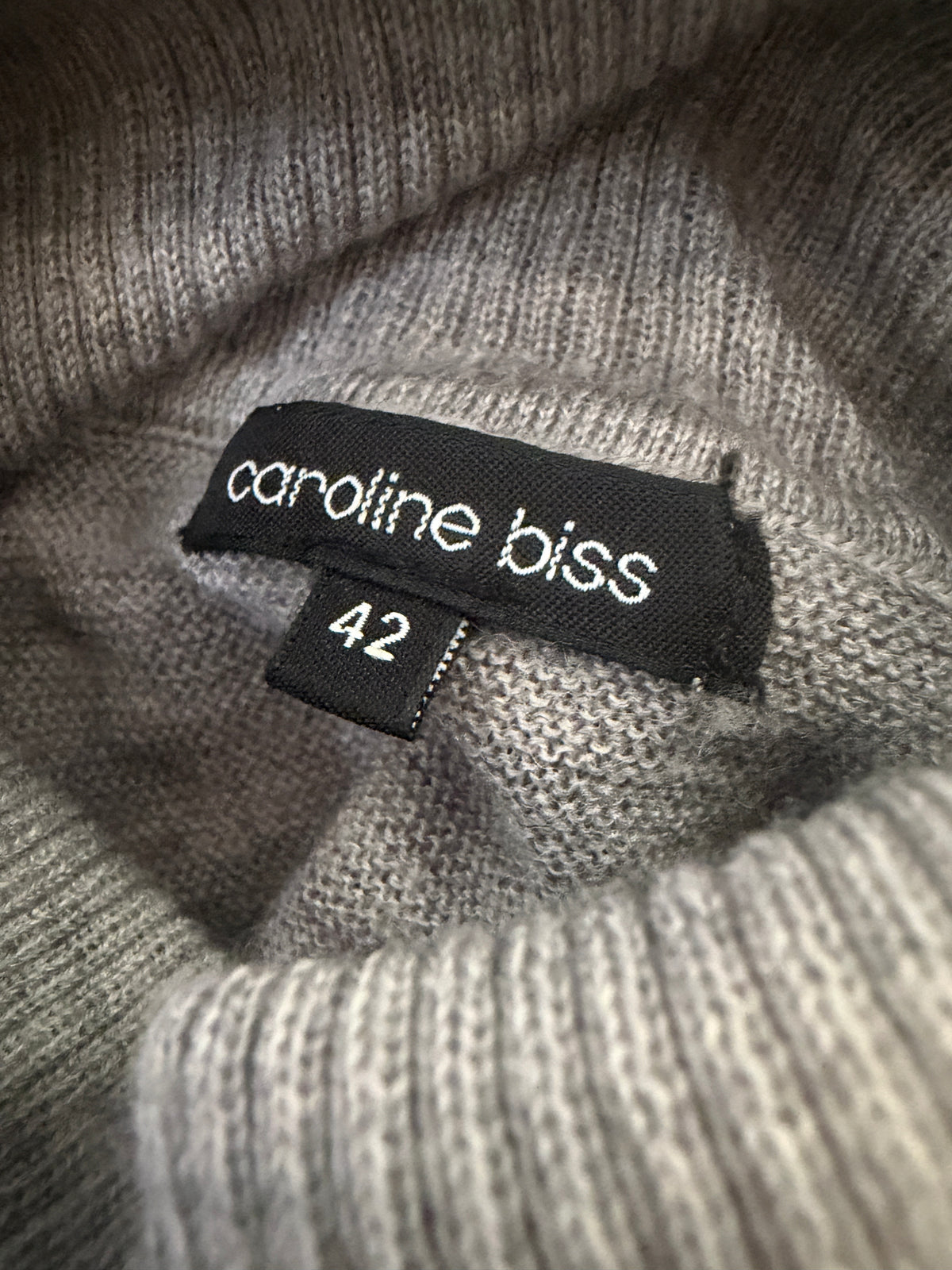 Caroline Biss trui L