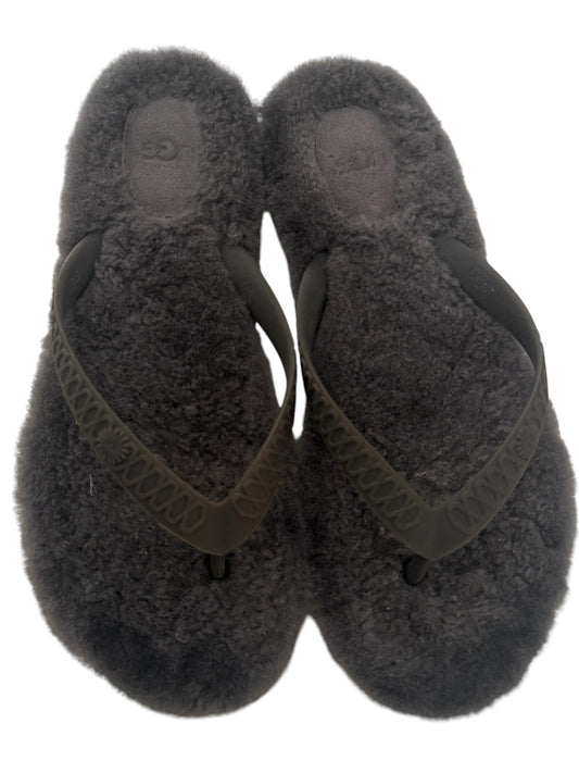 Ugg slippers 39