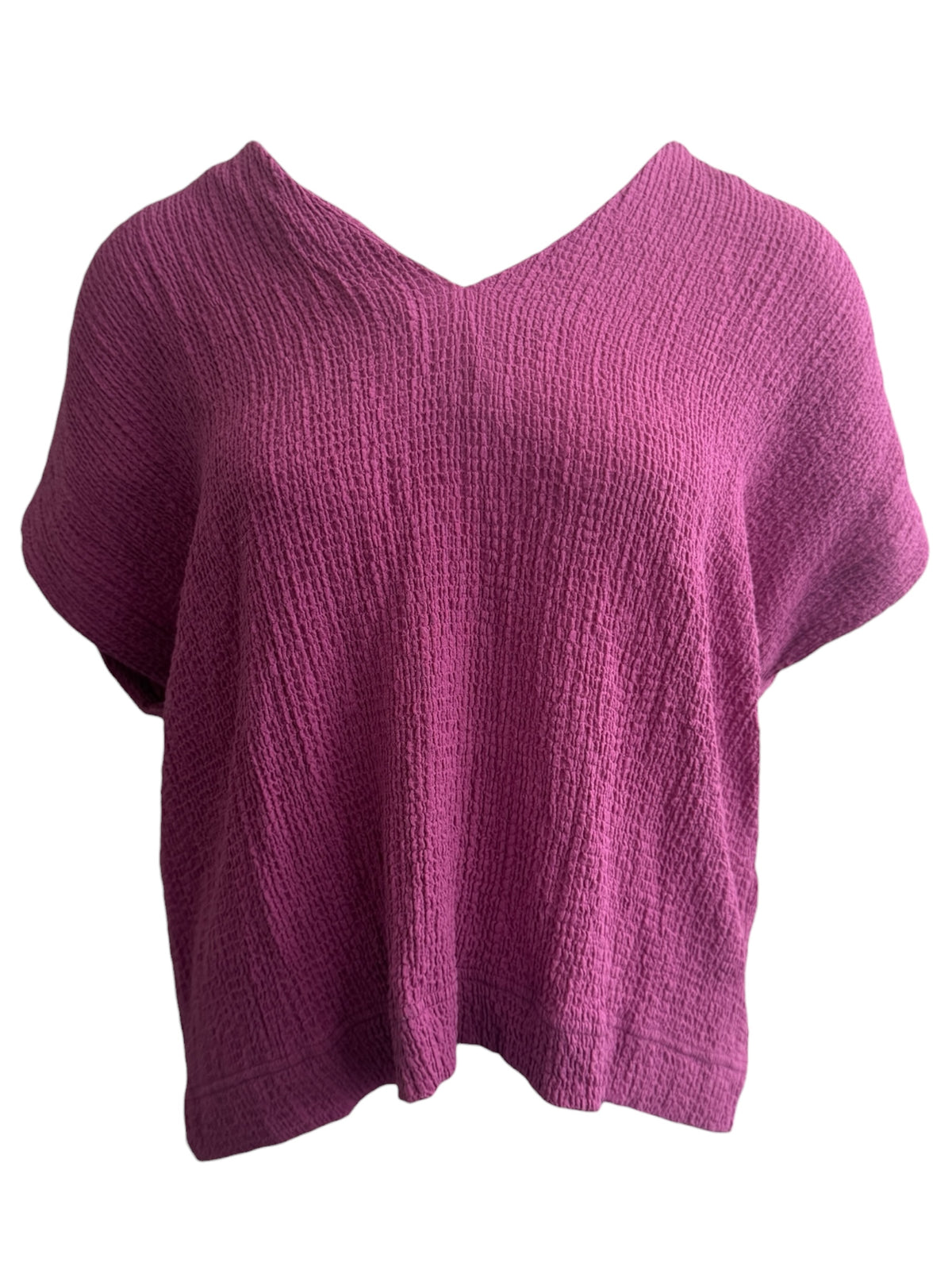 Dante6 shirt M