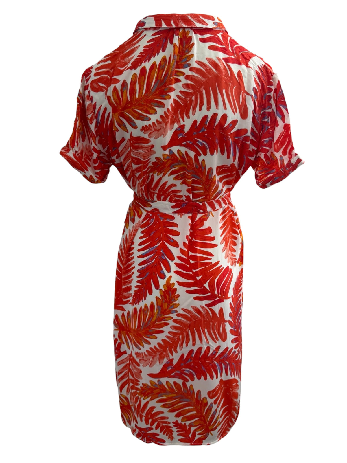 Fabienne Chapot jurk XL