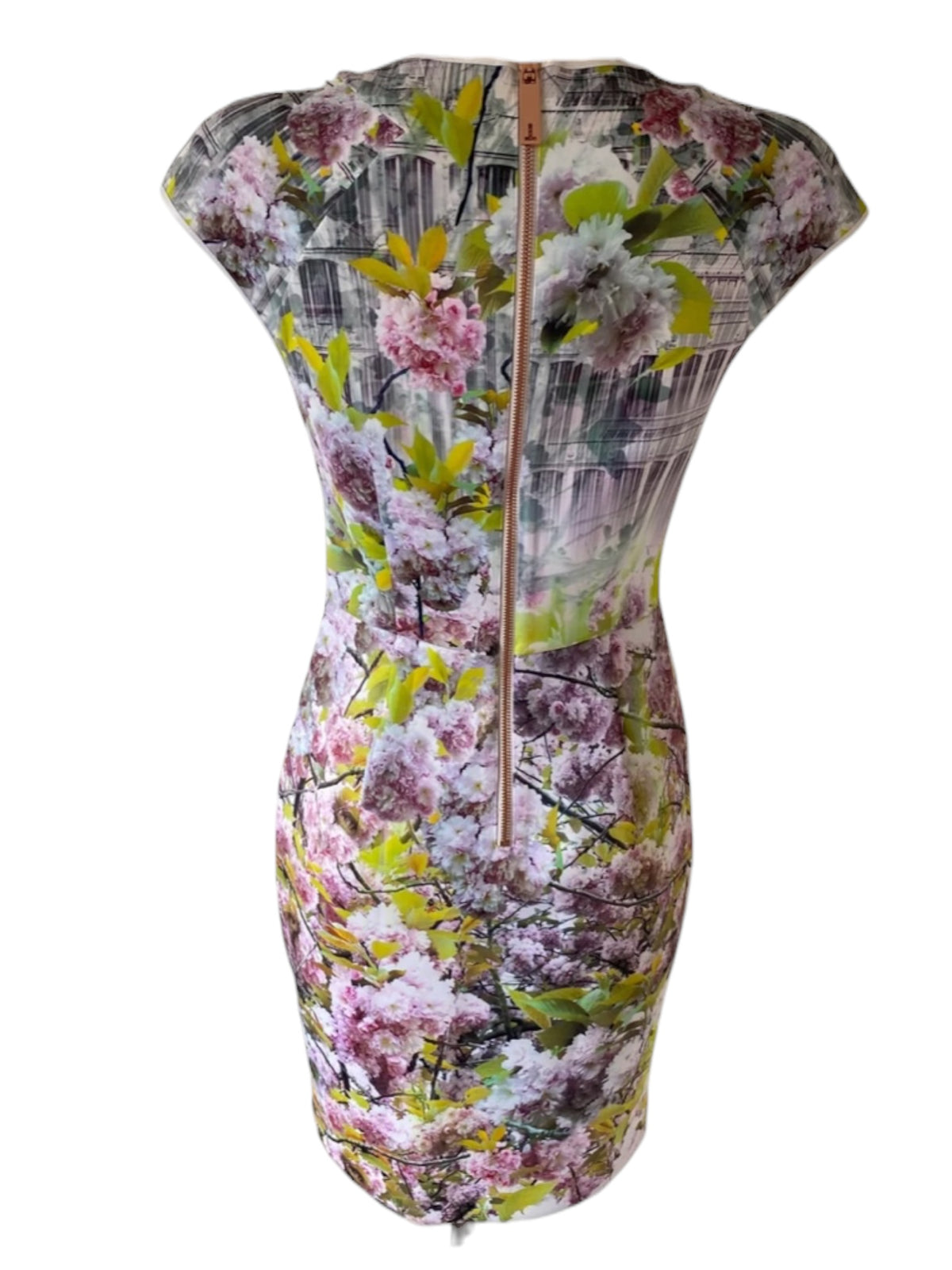 Ted Baker Kleid S