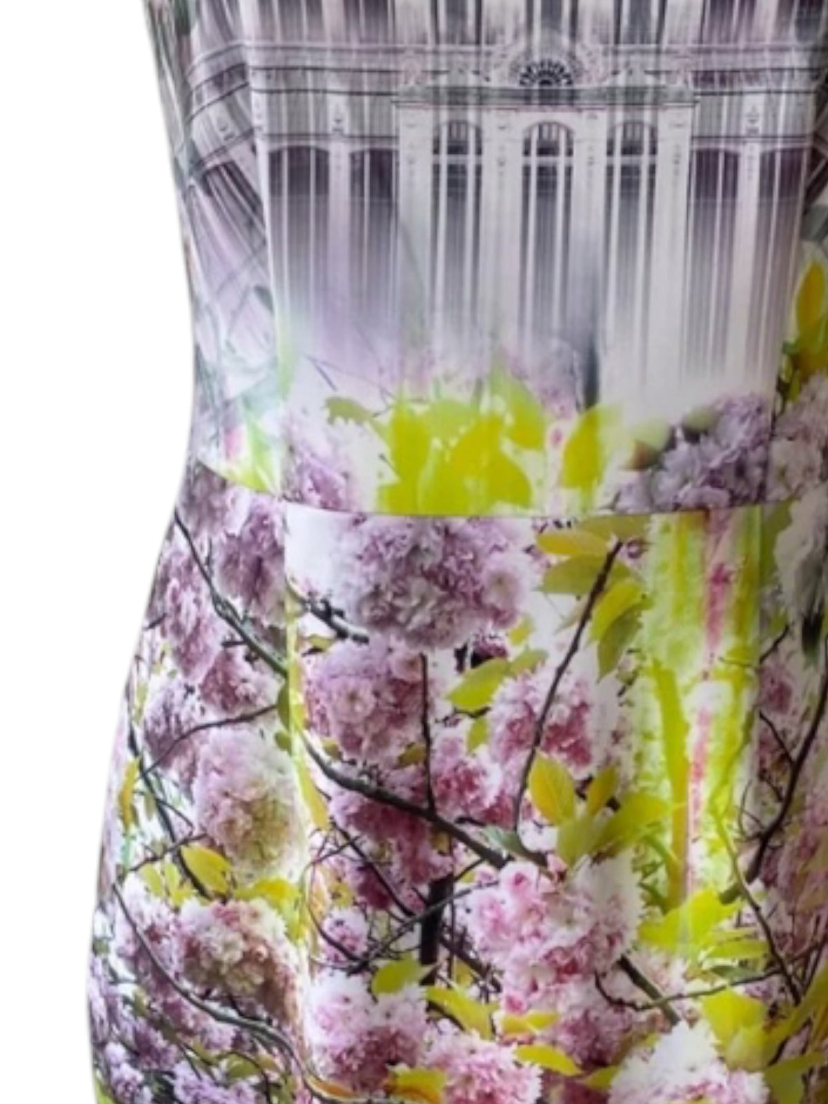 Ted Baker Kleid S