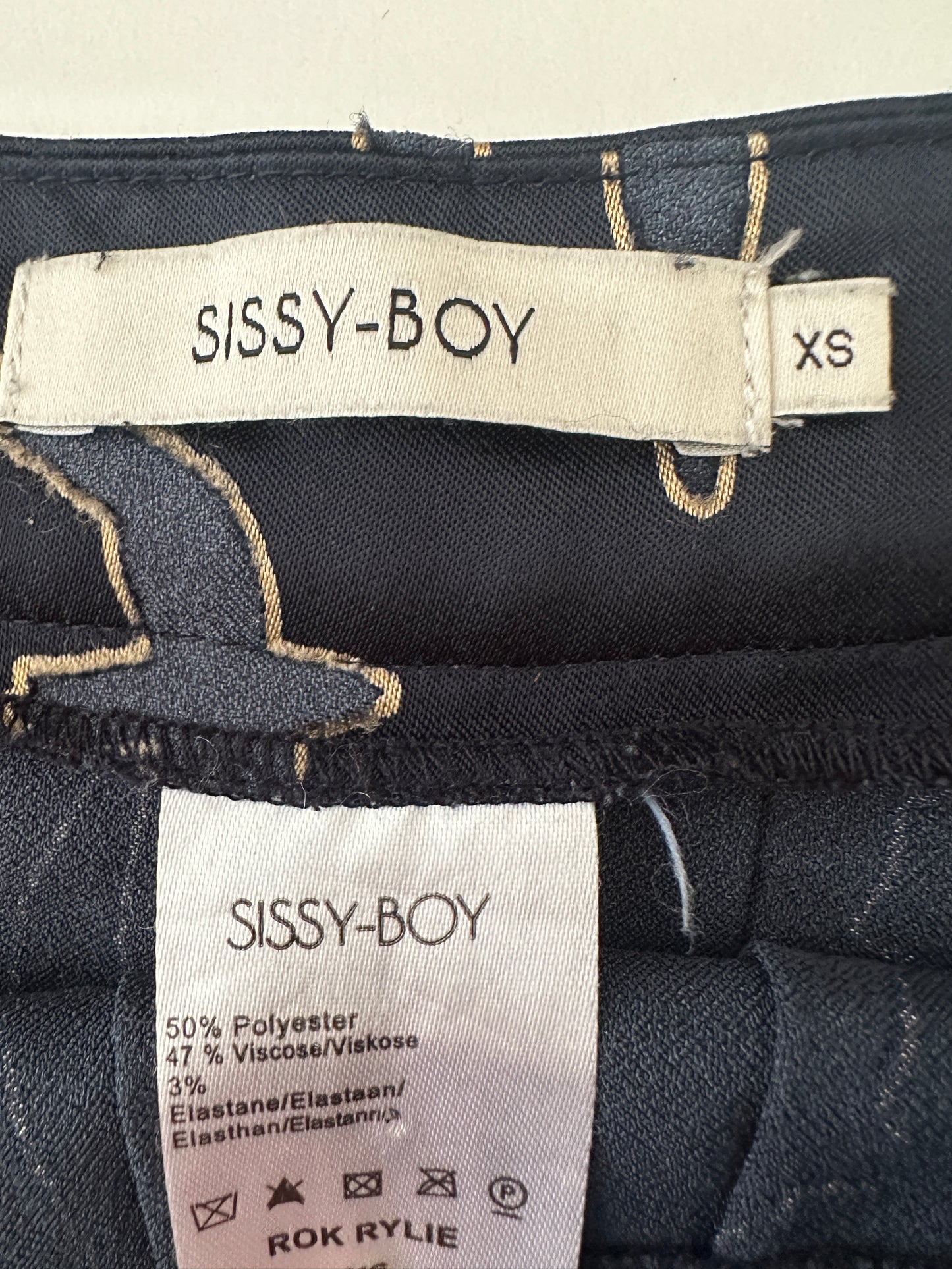 Sissy Boy rok S
