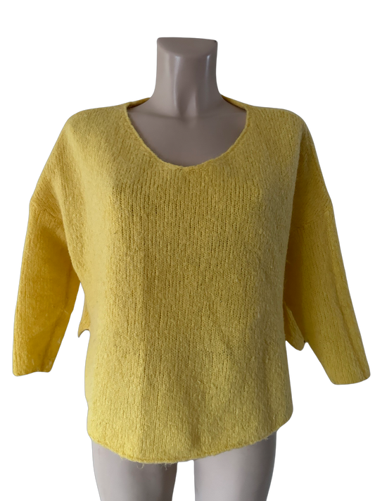American Vintage trui S